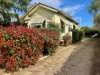95 Hunter Street, Gunnedah, NSW 2380-Image
