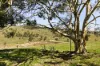 95 Kinnear Road, Mickleham, Vic 3064-Image