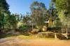 95 Lyttleton Street, Castlemaine, Vic 3450-Image