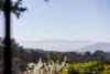 95 Monbulk Road, Mount Evelyn, Vic 3796-Image