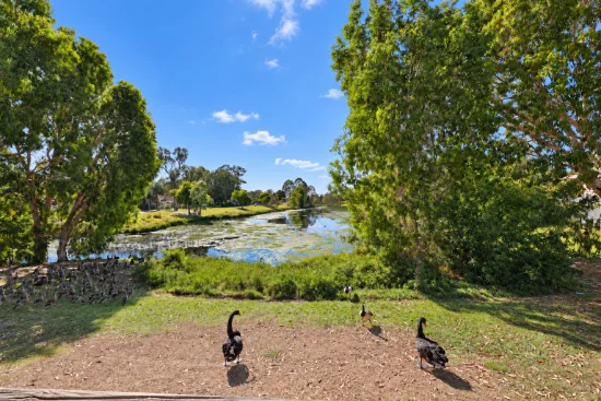 95 Sempfs Road, Dundowran Beach, Qld 4655