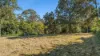 95 Single Ridge Road, The Slopes, NSW 2754-Image