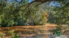 95 Single Ridge Road, The Slopes, NSW 2754-Image