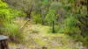 95 St Georges Crescent, Faulconbridge, NSW 2776-Image