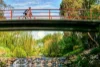 95 Victory Boulevard, Ashburton, Vic 3147-Image