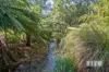 95 West Park Grove, Park Grove, Tas 7320-Image