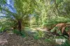 95 West Park Grove, Park Grove, Tas 7320-Image