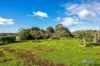 95 White Hills Road, Penguin, Tas 7316-Image
