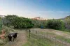 952 Bunya Road, Draper QLD 4520-Image