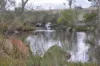 953 Sugarloaf Road, Sugarloaf, Qld 4380-Image