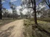 953 Sugarloaf Road, Sugarloaf, Qld 4380-Image