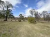 953 Sugarloaf Road, Sugarloaf, Qld 4380-Image