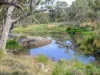 953 Sugarloaf Road, Sugarloaf, Qld 4380-Image