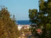 95B Wray Avenue, Fremantle, WA 6160-Image