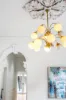 96 Albion Street, Brunswick, Vic 3056-Image