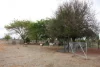 96 Alexandra Road, Broughton QLD 4820-Image