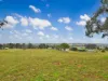 96 Burrows Rd, Young, NSW 2594-Image