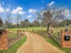 96 Burrows Rd, Young, NSW 2594-Image