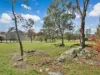 96 Burrows Rd, Young, NSW 2594-Image