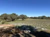 96 Coyle Rd, Oldbury, WA 6121-Image