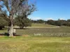 96 Coyle Rd, Oldbury, WA 6121-Image