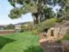 96 Flagstaff Gully Road, Lindisfarne, Tas 7015-Image