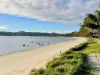 96 Foreshore Drive, Salamander Bay, NSW 2317-Image
