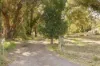 96 Grasshill Road, Karnup, WA 6176-Image