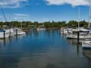 96 Harbour Drive, Trinity Park, Qld 4879-Image
