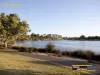 96 Tibradden Circle, Ascot, WA 6104-Image