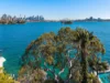 96 Wolseley Road, Point Piper, NSW 2027-Image