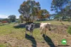 960 Old Cooma Road, Googong, NSW 2620-Image