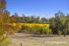 962 Richmond Road, Richmond, Tas 7025-Image