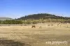 962 Richmond Road, Richmond, Tas 7025-Image