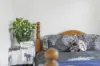 963 Murchison Highway, Elliott, Tas 7325-Image