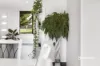 963 Murchison Highway, Elliott, Tas 7325-Image