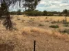 963 Pinery Road, Pinery, SA 5460-Image