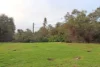 965 Seaborne Street, Parkerville, WA 6081-Image