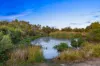 97 Ambrosia Drive, Armstrong Creek VIC 3217-Image