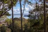 97 Andrew Road, Valentine, NSW 2280-Image