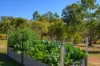 97 Arborcrescent Road, Glenwood, Qld 4570-Image