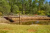 97 Arborcrescent Road, Glenwood, Qld 4570-Image