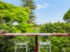 97 Beryl Street, Coffs Harbour, NSW 2450-Image