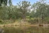 97 Biggs Road, Carrajung Lower, Vic 3844-Image