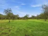 97 Brennans Road, Glenreagh, NSW 2450-Image