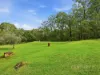 97 Brennans Road, Glenreagh, NSW 2450-Image