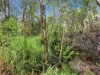 97 Brennans Road, Glenreagh, NSW 2450-Image