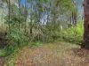 97 Brennans Road, Glenreagh, NSW 2450-Image