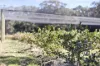 97 Cranneys Lane, Trentham, Vic 3458-Image