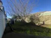 97 Hamilton Street, Kilmore, Vic 3764-Image